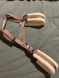 Sale Licol mauve Licols Et Longes