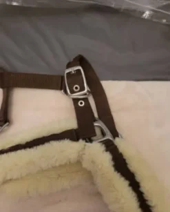 Sale Licol mouton Licols Et Longes