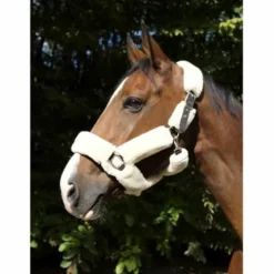 Outlet Licol mouton Equi-Thème Teddy Ecru et noir Licols Et Longes