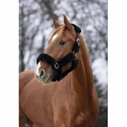 Sale Licol mouton Equi-Thème Teddy noir et rose gold Licols Et Longes