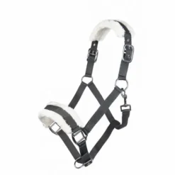 New Licol mouton teddy - - Confort optimal Licols Et Longes