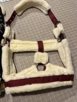 Clearance Licol neuf Licols Et Longes