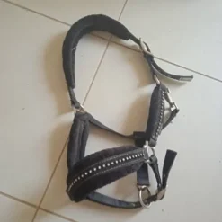 Outlet Licol noir a strass Licols Et Longes