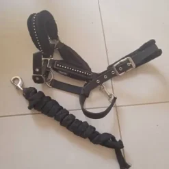 Outlet Licol noir a strass Licols Et Longes