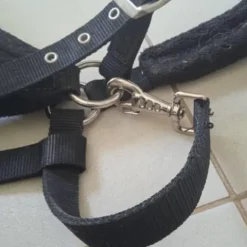 Outlet Licol noir a strass Licols Et Longes