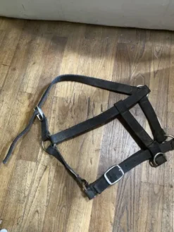 Hot Licol noir fouganza Licols Et Longes