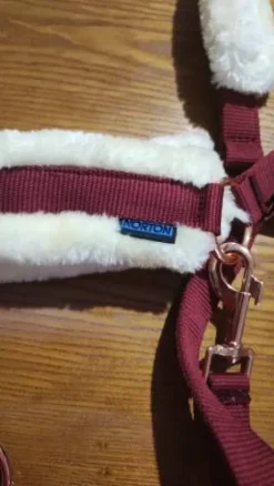 Hot Licol Licols Et Longes