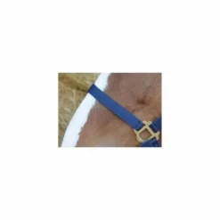 Sale Licol nylon - - Confort réglable Licols Et Longes