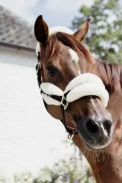 Online Licol nylon mouton Soft - Kentucky Licols Et Longes