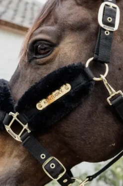 Online Licol nylon mouton Soft - Kentucky Licols Et Longes