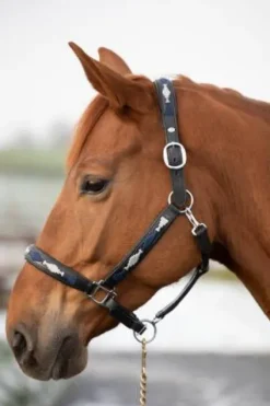 Discount Licol Polo Licols Et Longes