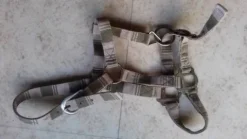 Hot Licol poney Licols Et Longes