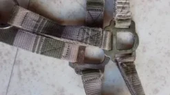 Hot Licol poney Licols Et Longes