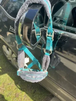 Outlet Licol poney Licols Et Longes