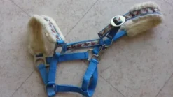 Outlet licol poney avec motifs adorables Licols Et Longes