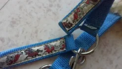 Outlet licol poney avec motifs adorables Licols Et Longes