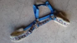 Outlet licol poney avec motifs adorables Licols Et Longes