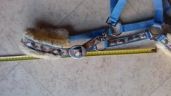 Outlet licol poney avec motifs adorables Licols Et Longes