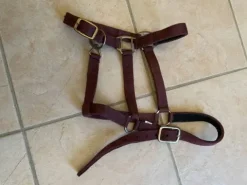 New Licol Équithème Licols Et Longes