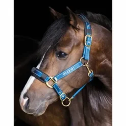 Online Licol reflechissant - Licols Et Longes