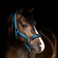 Online Licol reflechissant - Licols Et Longes