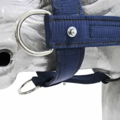 Discount Licol robuste pour le débourrage des poulains Licols Et Longes