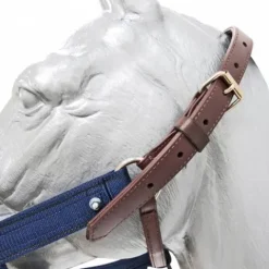 Discount Licol robuste pour le débourrage des poulains Licols Et Longes