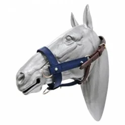 Discount Licol robuste pour le débourrage des poulains Licols Et Longes