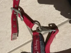 Discount Licol rouge avec moumoute grise Licols Et Longes