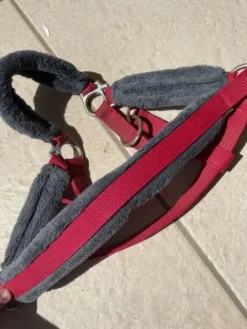 Discount Licol rouge avec moumoute grise Licols Et Longes