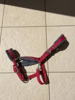 Discount Licol rouge avec moumoute grise Licols Et Longes