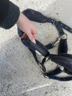 Hot Licol shetland Licols Et Longes