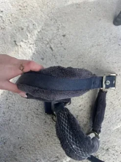 Hot Licol shetland Licols Et Longes