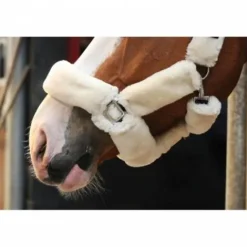 Online Licol Soft One - Crème Licols Et Longes