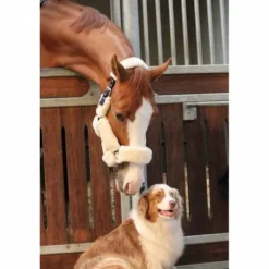 Online Licol Soft One - Crème Licols Et Longes