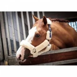 Online Licol Soft One - Crème Licols Et Longes