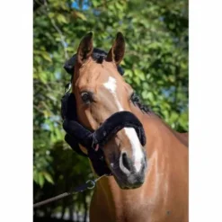 Outlet Licol Soft One - Noir - Jump'in Licols Et Longes