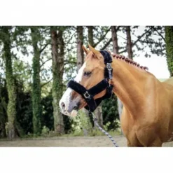 Outlet Licol Soft One - Noir - Jump'in Licols Et Longes