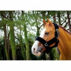 Outlet Licol Soft One - Noir - Jump'in Licols Et Longes