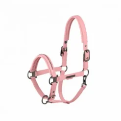 Licol Softshell Pearls PLATINUM 2025 - - Edition limitée Licols Et Longes