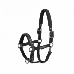 Licol Softshell Pearls PLATINUM 2025 - - Edition limitée Licols Et Longes