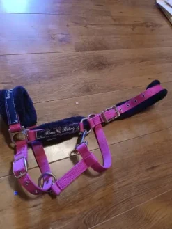 Clearance Licol taille cob Licols Et Longes