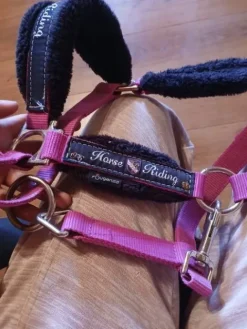 Clearance Licol taille cob Licols Et Longes