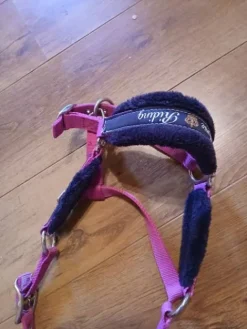 Clearance Licol taille cob Licols Et Longes