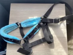 Sale Licol taille cob/ taille 2 Licols Et Longes