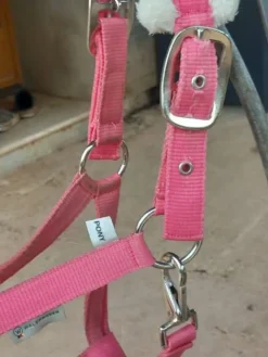 Best Licol taille poney Licols Et Longes