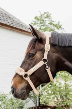 Online Licol Teddy Fleece - Kentucky Licols Et Longes