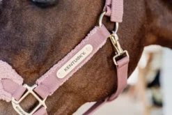 Online Licol Teddy Fleece - Kentucky Licols Et Longes