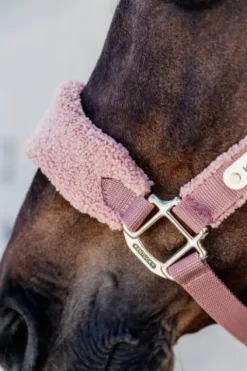 Online Licol Teddy Fleece - Kentucky Licols Et Longes