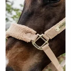 Licol Teddy Fleece - Kentucky Licols Et Longes